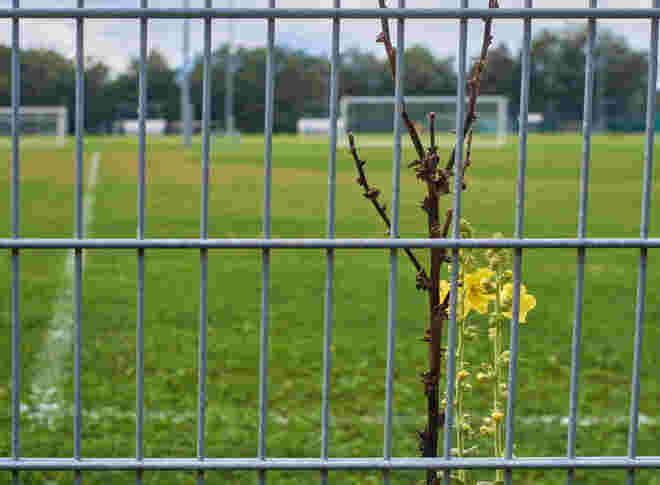 Im Fußballfeld