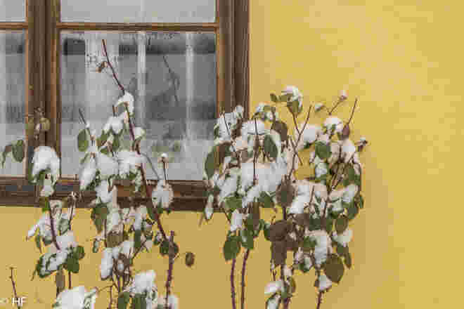 Winterfenster
