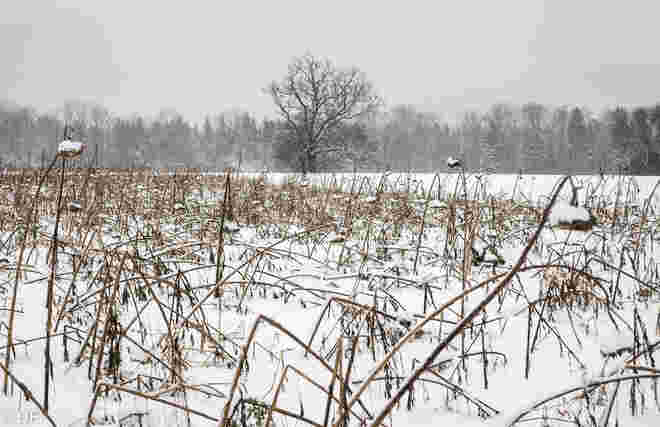 Winterlandschaft 2