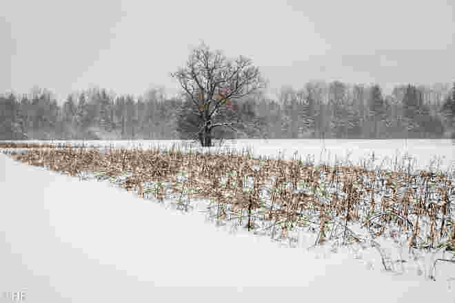 Winterlandschaft 3
