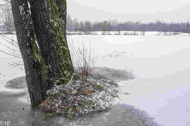 Am Salzachsee 1