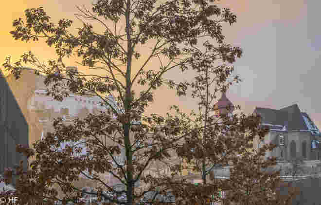 Nonnbergfestungsblick
