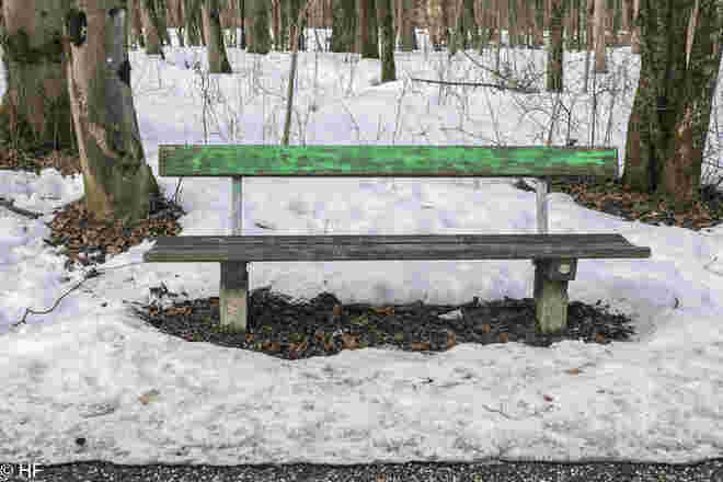 Grün in der Au