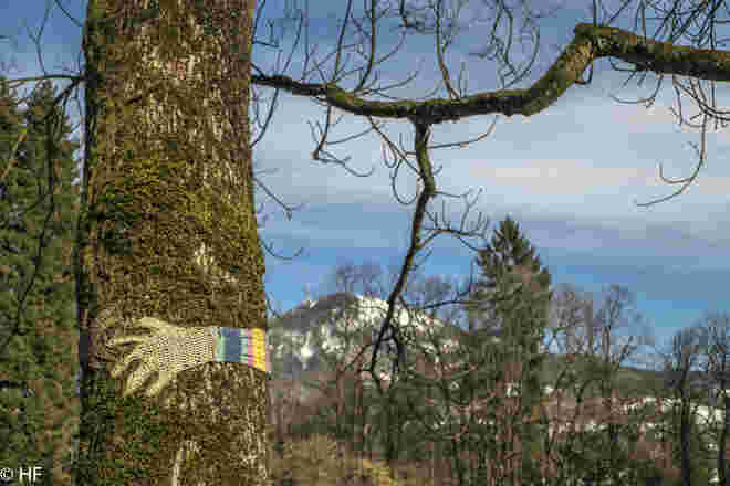 Im Volksgarten