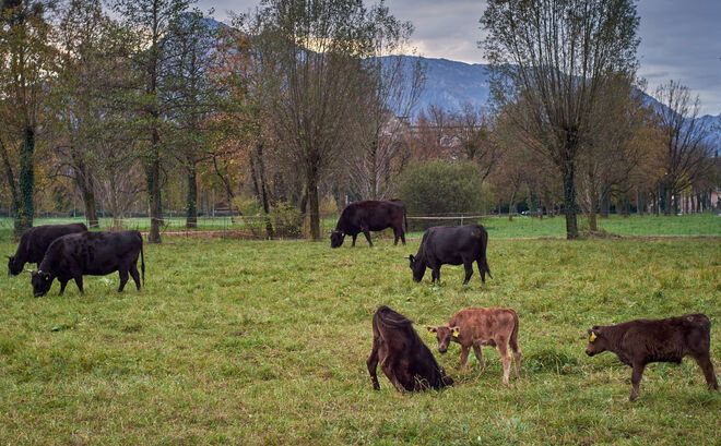 Verstecken spielen  ;  )