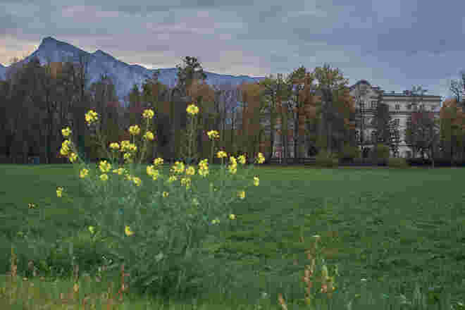 Schloss Leopoldskron