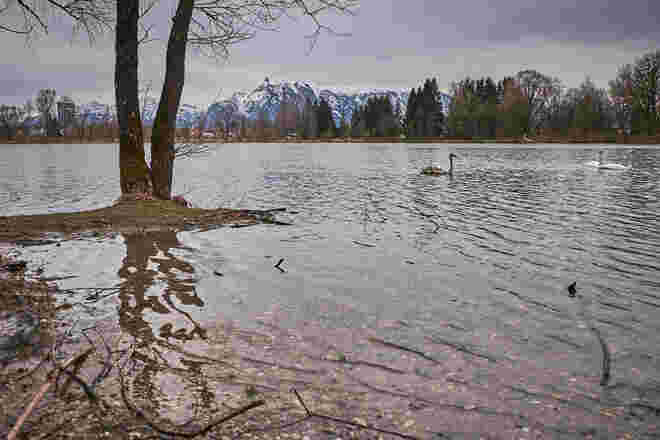 Salzachsee