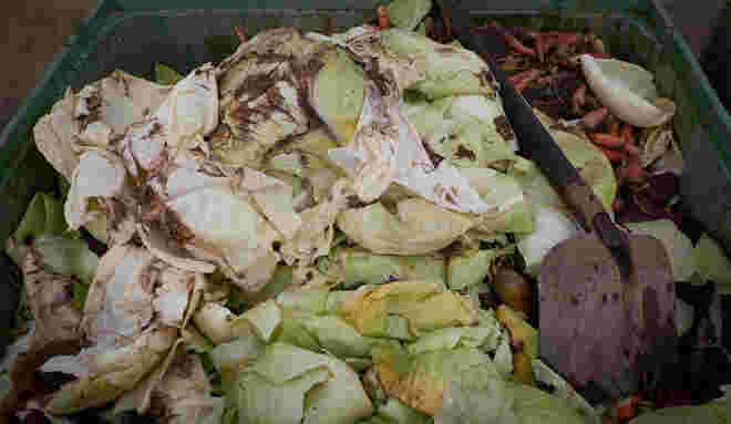 Kraut & Rüben 2