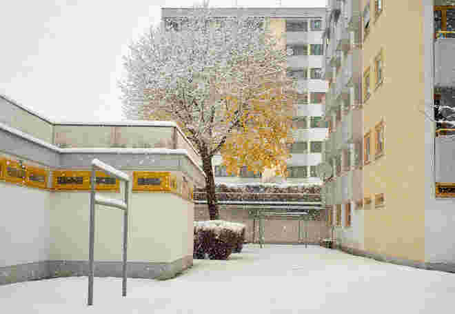 Winter und die Farbe Gelb