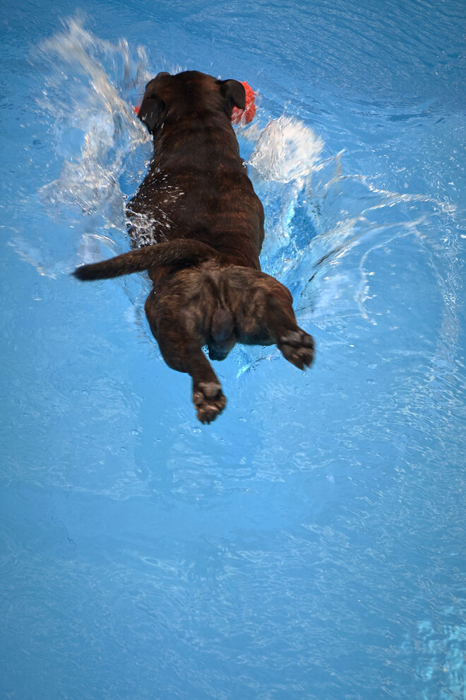 Die Badesaison ist eröffnet  ;  )