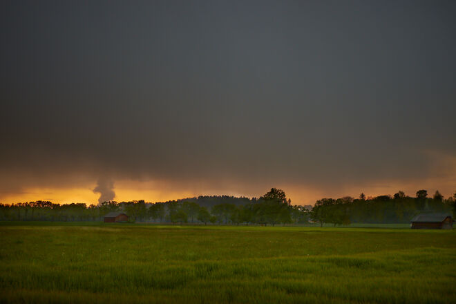 Keltenallee mit Festungsblick