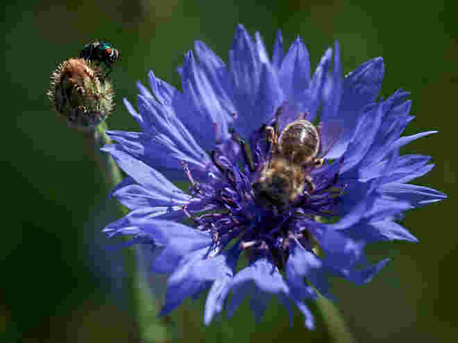 Besucher