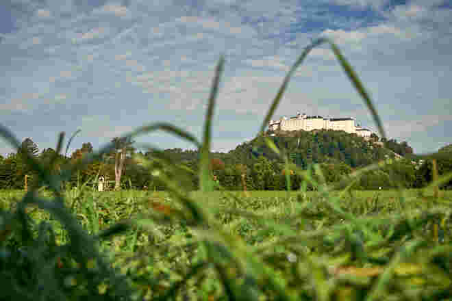 Rahmenbedingung