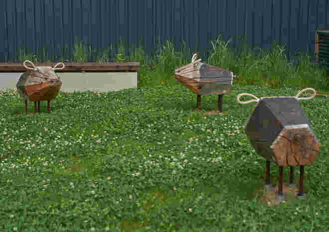 3 Schweinchen