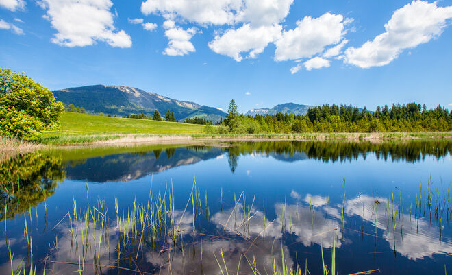 Spiegelung im Egelsee
