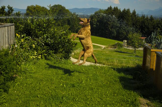 Wenn die Temperatur steigt...