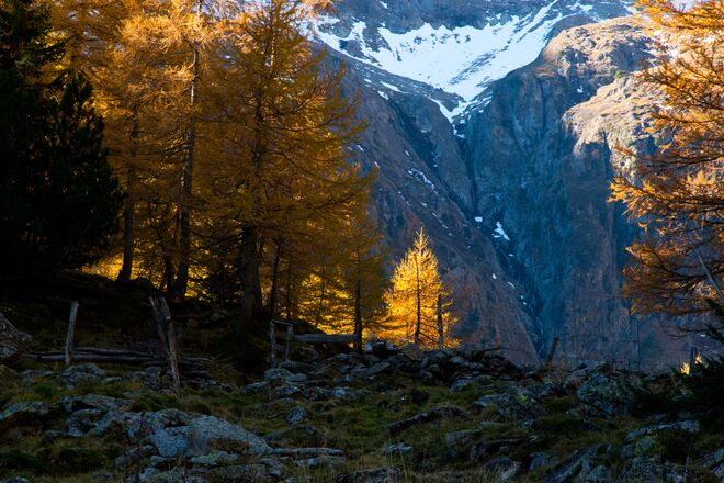 Vor dem großen Sturm..