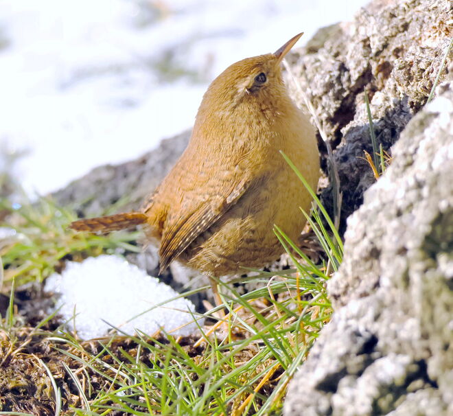 Oder lieber hoch hinaus?