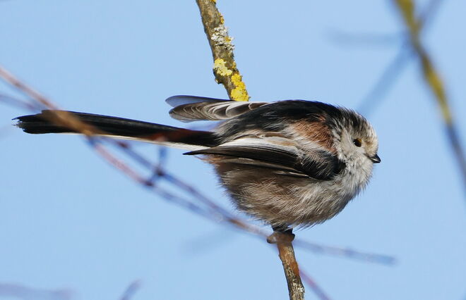 Ein rundum glückliches Neues Jahr