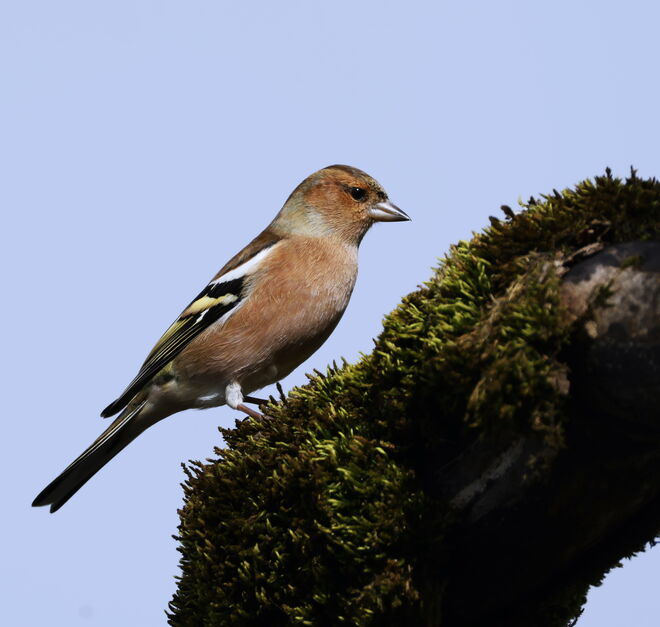 Rund um den Sighartsteiner Weiher 3