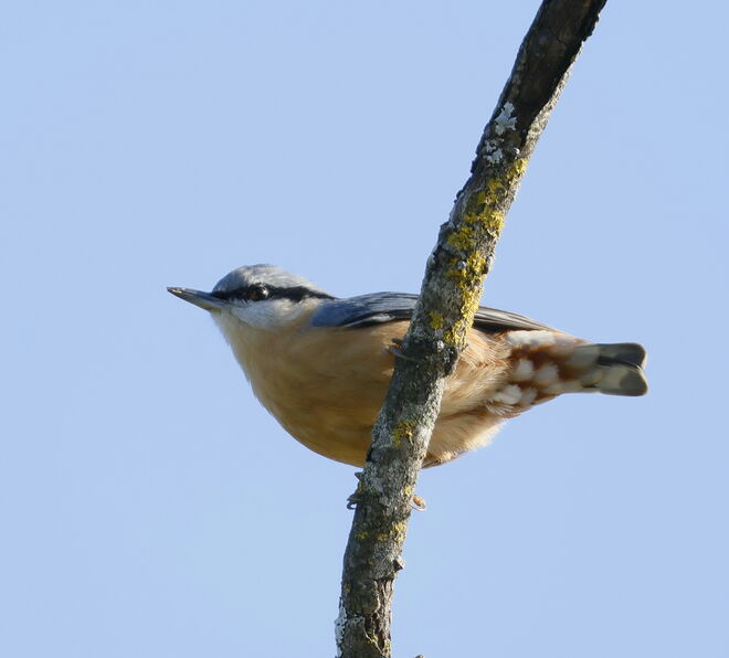 Rund um den Sighartsteiner Weiher 1