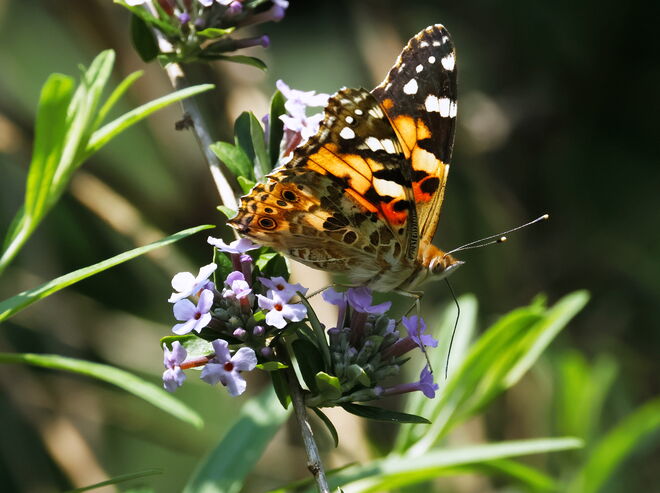 Guten Start in die kurze Woche!