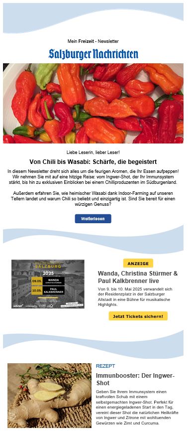 Newsletter Vorschau