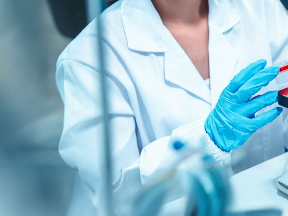 Šest prestižnih ERC Synergy Grantov za raziskovalne ekipe z avstrijsko udeležbo