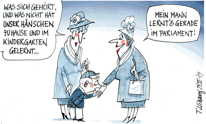 Der Abgeordnete Hans