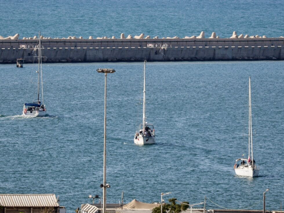 Alle vier Gaza-Aktivisten aus Österreich sicher an Land