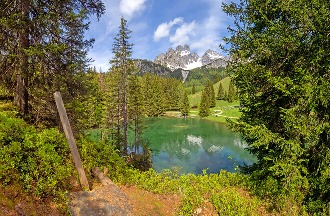 Frühlingszauber am Almsee