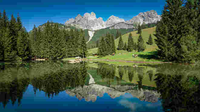 der Almsee