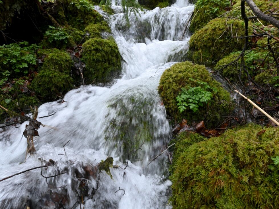 Alpine Quellen liefern derzeit noch genügend Trinkwasser