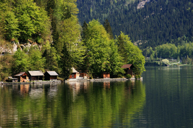 Frühling am Hallstätter See