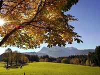 Auf einmal war der Sommer aus