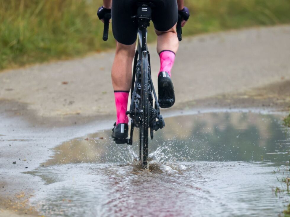 Auffälligkeit eines Hundes in Linz vom Gericht bestätigt