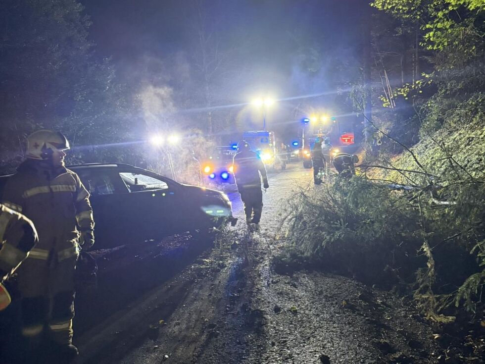 Auto prallte in Schwarzach gegen Baum − 16-jähriges Mädchen verletzt
