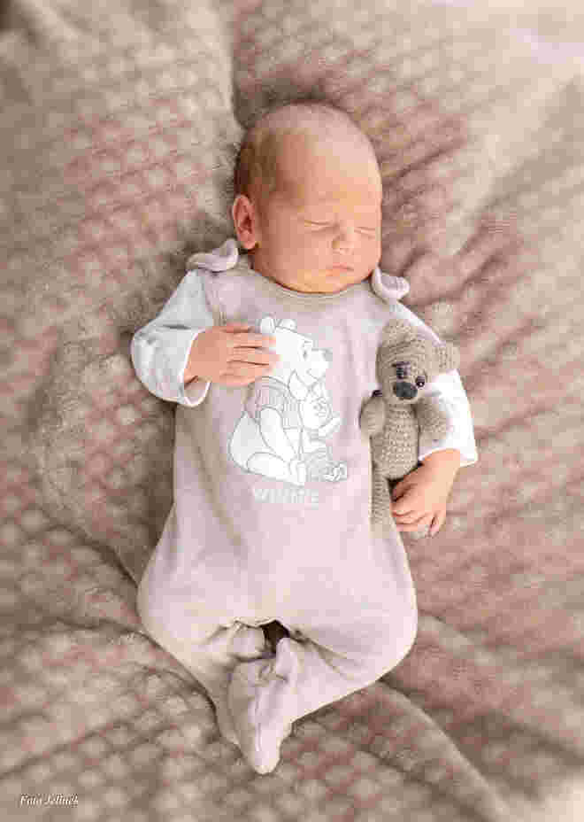 Felix Josef Wallner