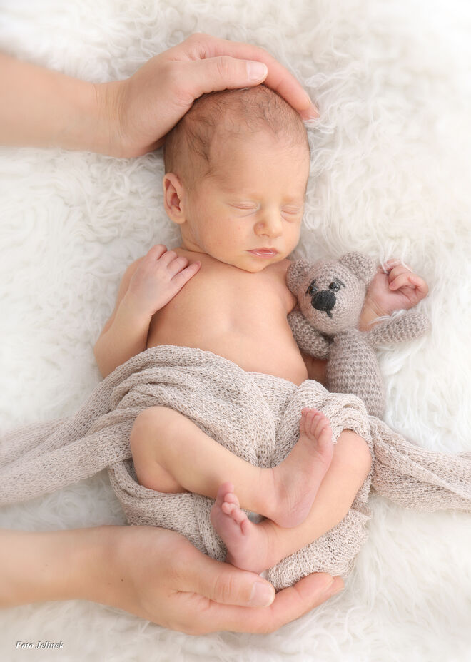 Hans-Peter Lohninger