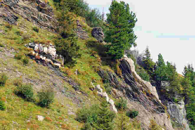 Baumgrenze "Kampfzone des Waldes") unter dem Plattenkogelgipfel (2039 m)