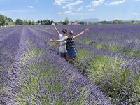 Besuch bei Südfrankreichs Impressionisten: Farbe, Duft und Licht