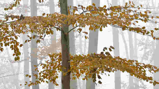November . . .