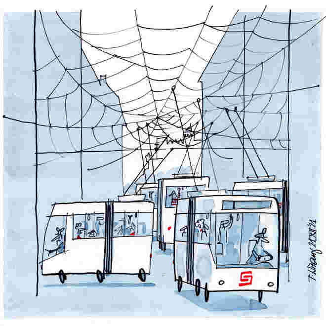 Busnetz