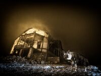 Die schönsten Wildtier-Fotos des Jahres zum Durchklicken: "Wildlife Photographer of the Year 2025" gekürt