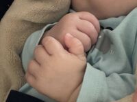 Deine kleine Hand in meiner