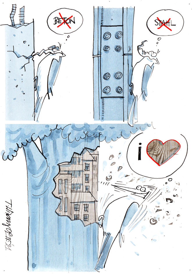 Der Baupreisspecht . .  