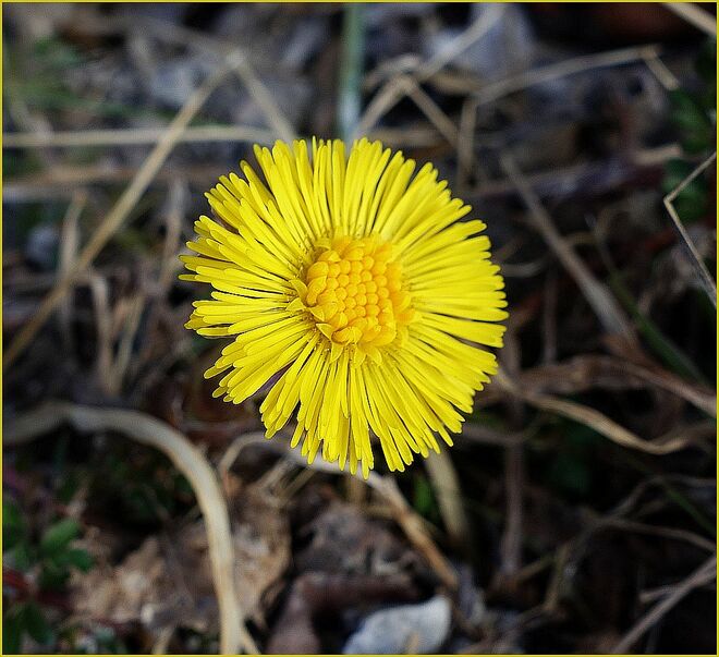 Bin ich hier der erste ?