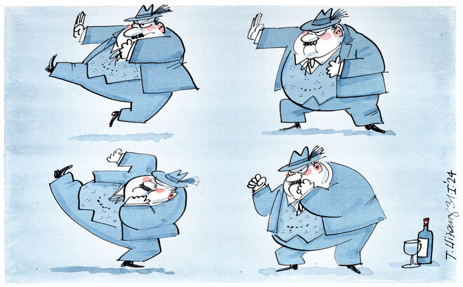 Der wehrhafte Österreicher  – ein Versuch ...