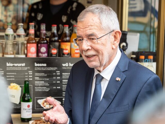&#8222;Das riecht ein wenig nach Putsch und Willkür eines Einzelnen.&#8220; &#8211; Das sagt Amtsinhaber Alexander Van der Bellen zu derartigen Ideen.  