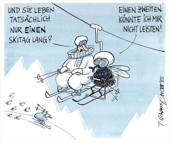 Die Eintagsskifliege